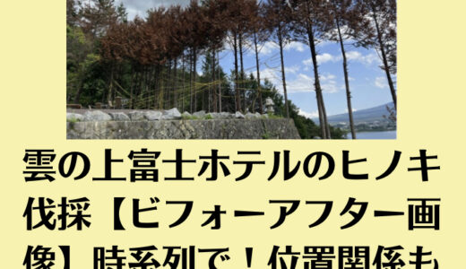 雲の上富士ホテルのヒノキ伐採【ビフォーアフター画像】時系列で！位置関係も